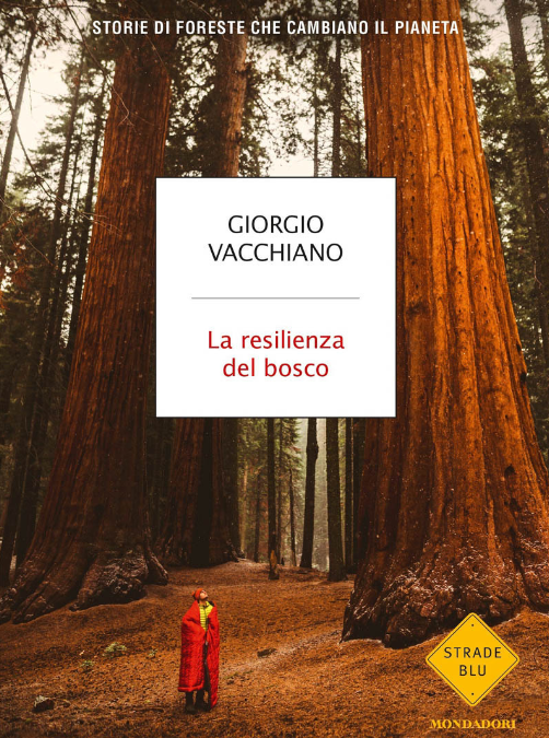 “La resilienza del bosco”